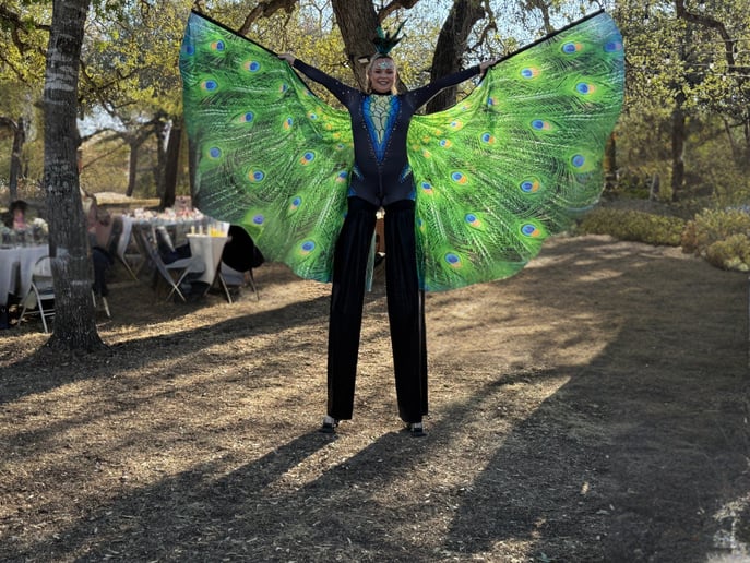 Gallery photo 33 of Divine Circus Entertainment
