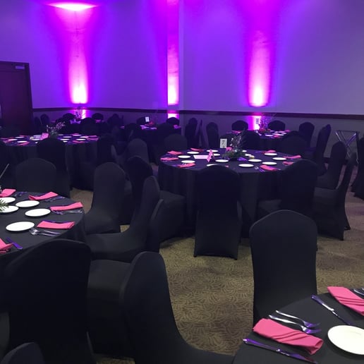 Gallery photo 21 of Entertainment One Stop Shop LLC