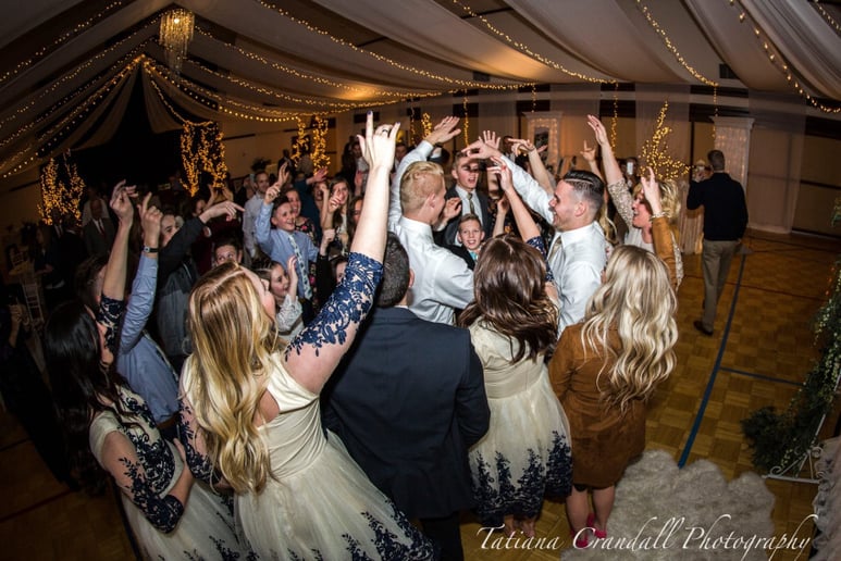 Gallery photo 4 of Wildfire Entertainment