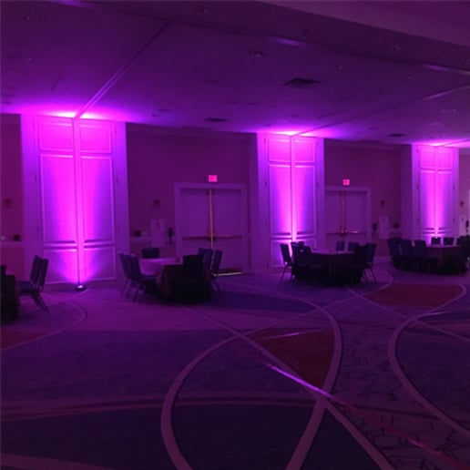 Gallery photo 9 of DJ Dave Entertainment