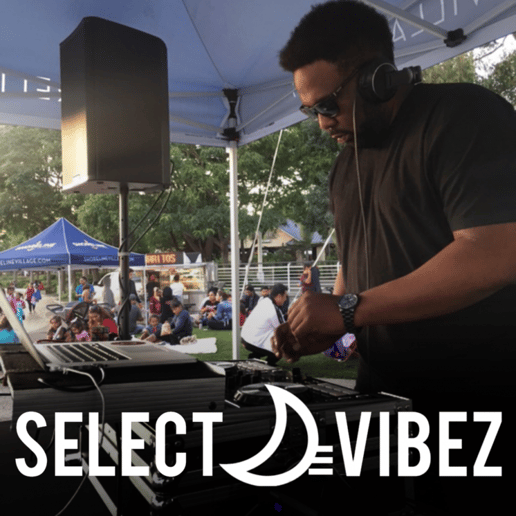 Gallery photo 9 of Dj Delvek