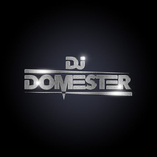 Gallery photo 21 of DJ Domester