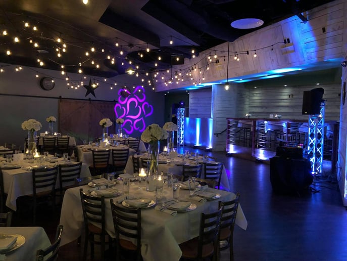 Gallery photo 10 of Elite Event DJ Services