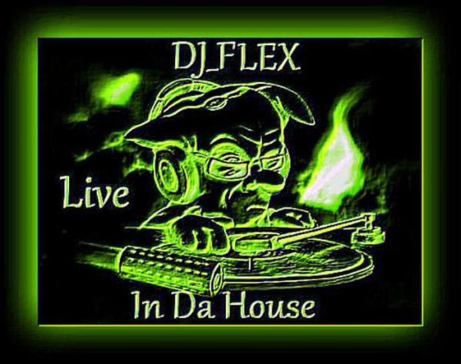 Gallery photo 3 of Dj Flex Entertainment