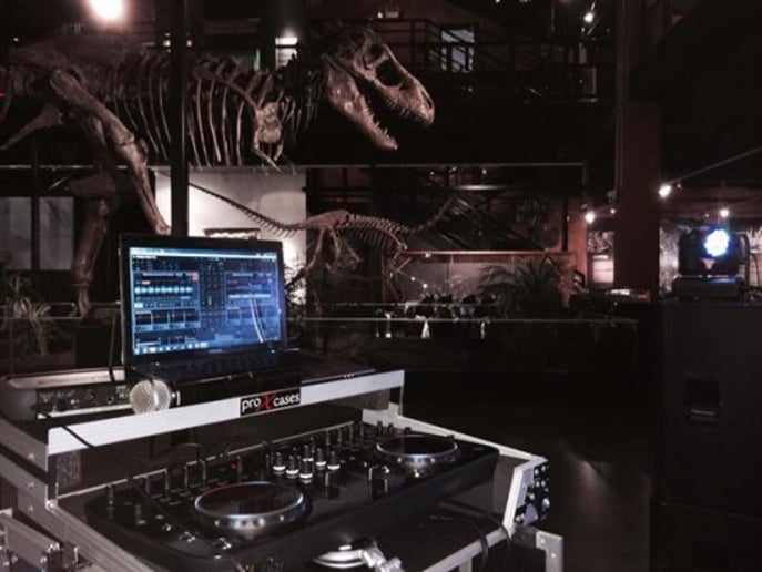 Gallery photo 58 of DJ Freddy B
