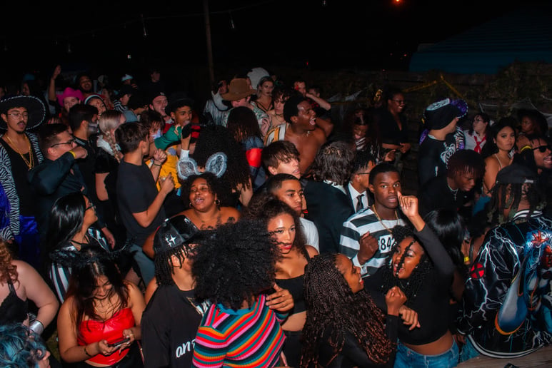 Gallery photo 4 of DJ Nubia