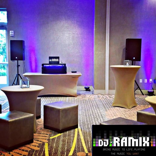 Gallery photo 1 of DJ Ramix