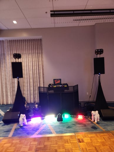Gallery photo 7 of DJ Ramix