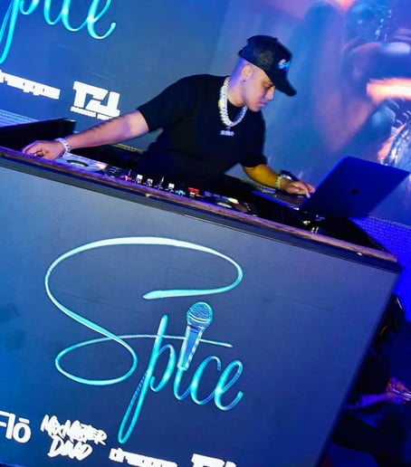 Gallery photo 4 of Dj Ro