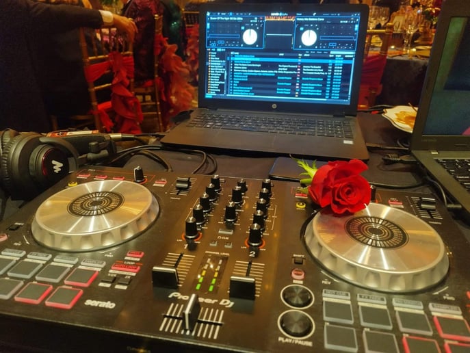 Gallery photo 4 of DJ Robin Hod