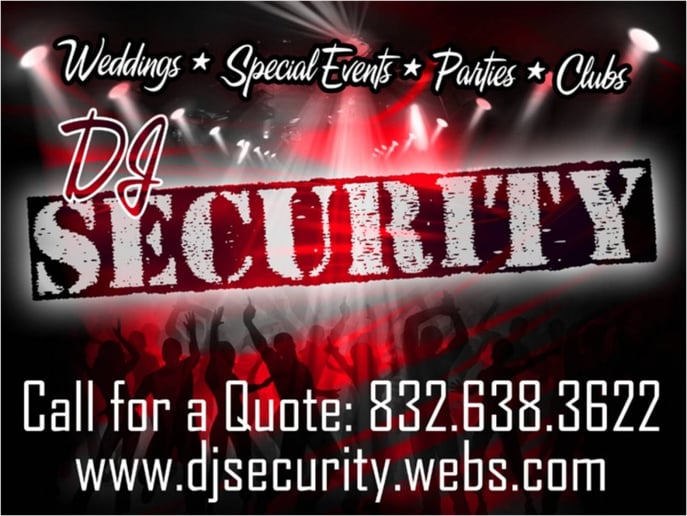 Gallery photo 3 of DJ Security
