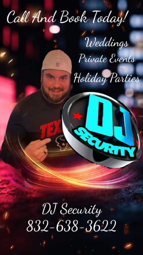 Gallery photo 5 of DJ Security