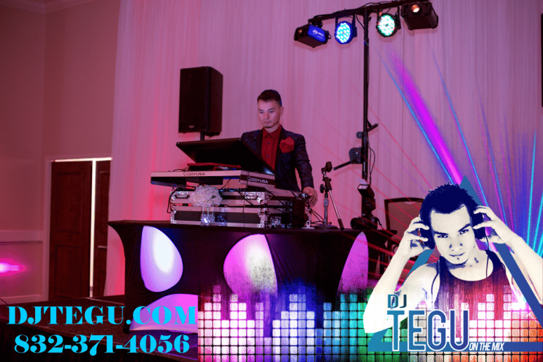 Gallery photo 1 of Dj Tegu Entertainment