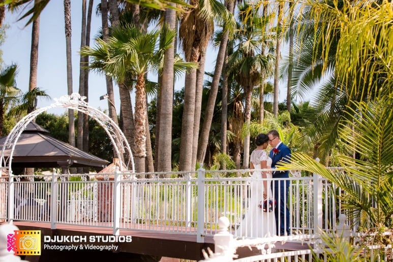 Gallery photo 4 of Djukich Studios