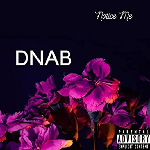 Gallery photo 1 of Dnab