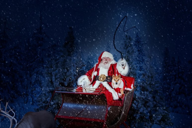 Gallery photo 5 of Doc Santa Claus