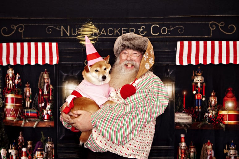 Gallery photo 4 of Doc Santa Claus