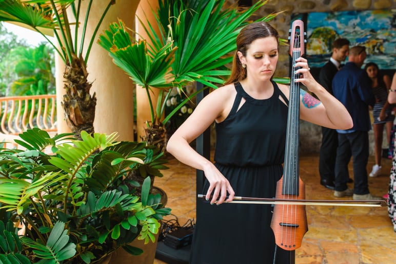 Gallery photo 5 of Dolce Fuoco Strings