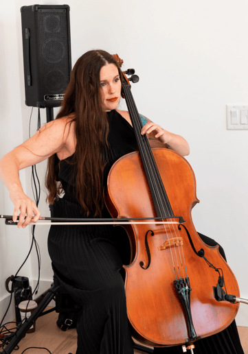 Gallery photo 3 of Dolce Fuoco Strings