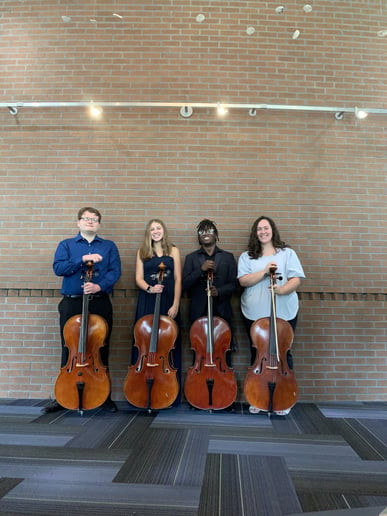 Gallery photo 3 of Dolce Strings