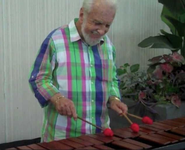 Gallery photo 6 of Don Moors, Vibraphonist