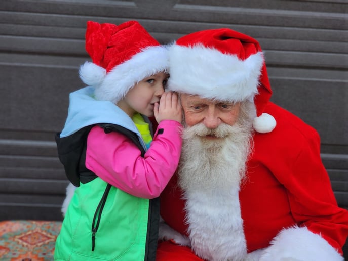Gallery photo 8 of Don the Santa Dude