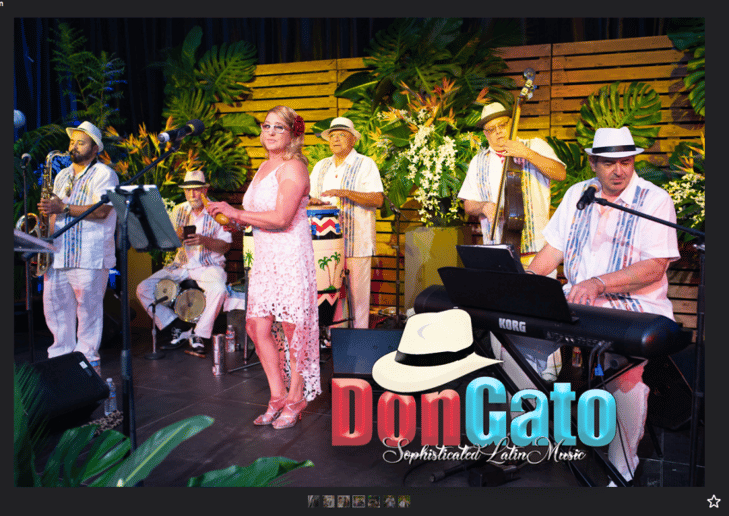 Gallery photo 4 of DonGato Latin Band