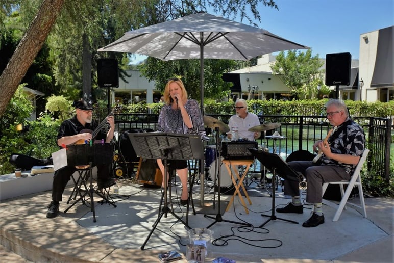 Gallery photo 2 of Donna Deussen Jazz Vocalist