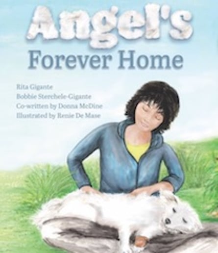 Gallery photo 10 of Donna M. McDine, Award-winning Children's Author