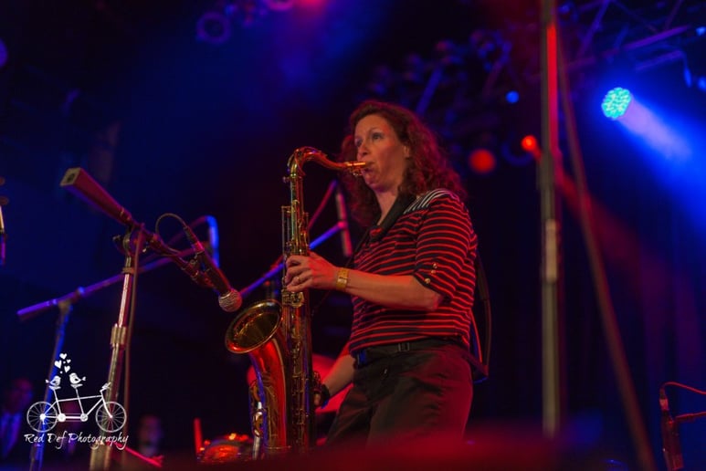 Gallery photo 2 of Donna Schwartz, Saxophone for Special Occasions