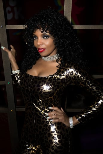Gallery photo 8 of Donna Summer Tribute Artist