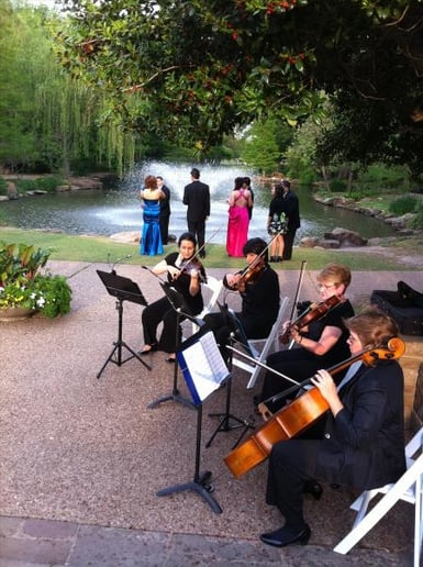 Gallery photo 1 of DoReViolinist