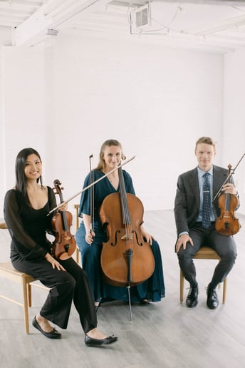 Gallery photo 9 of Lieder Strings