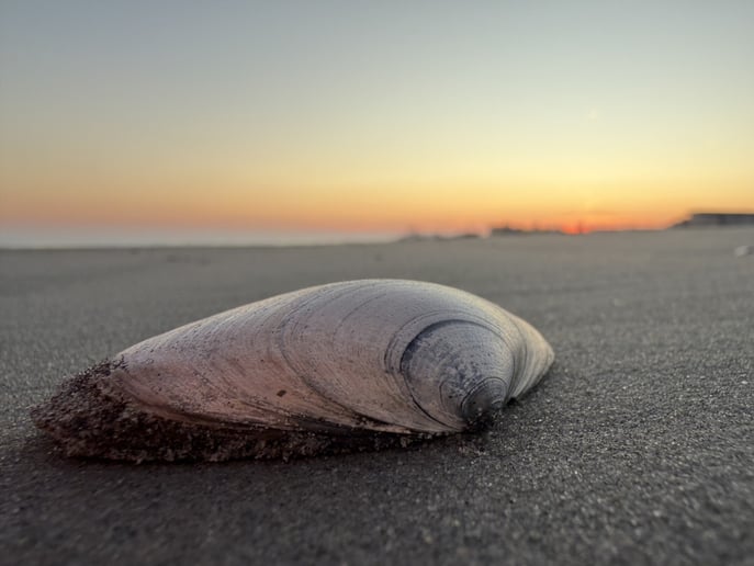 Gallery photo 1 of Down The Shore Media