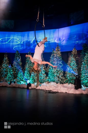 Gallery photo 8 of Down to Earth Aerials