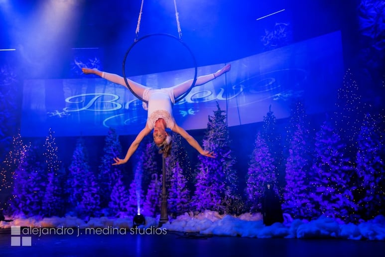 Gallery photo 10 of Down to Earth Aerials