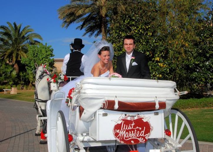 Gallery photo 3 of Downtown Horse and Carriage