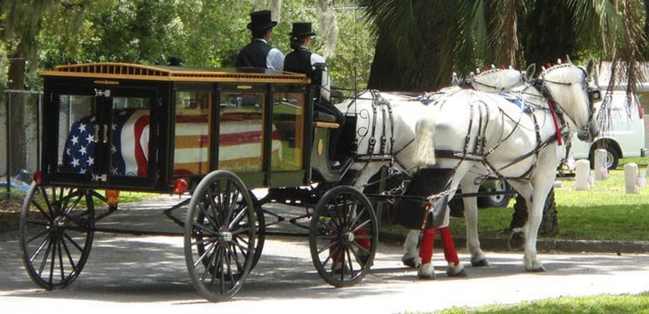 Gallery photo 6 of Downtown Horse and Carriage