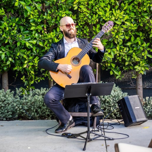 Gallery photo 1 of Dr. Gogoncea: World-Renowned Guitarist