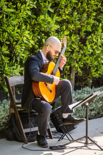 Gallery photo 3 of Dr. Gogoncea: World-Renowned Guitarist
