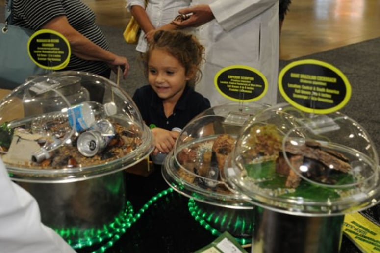 Gallery photo 3 of Dr. Insecta's Bug Lab