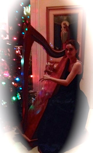 Gallery photo 3 of Dr. Vanessa Fountain, harpist