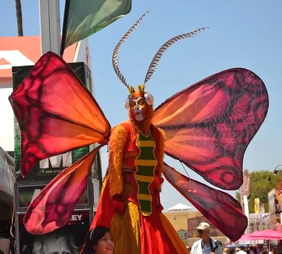 Gallery photo 3 of Dragon Knights Stilt Show