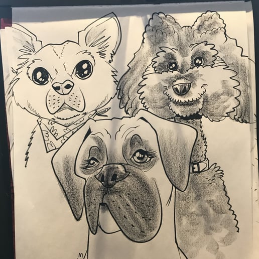 Gallery photo 4 of Draw Me Weird