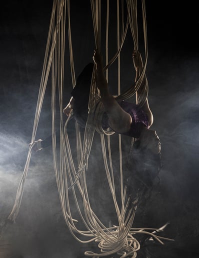Gallery photo 3 of Dream Catcher