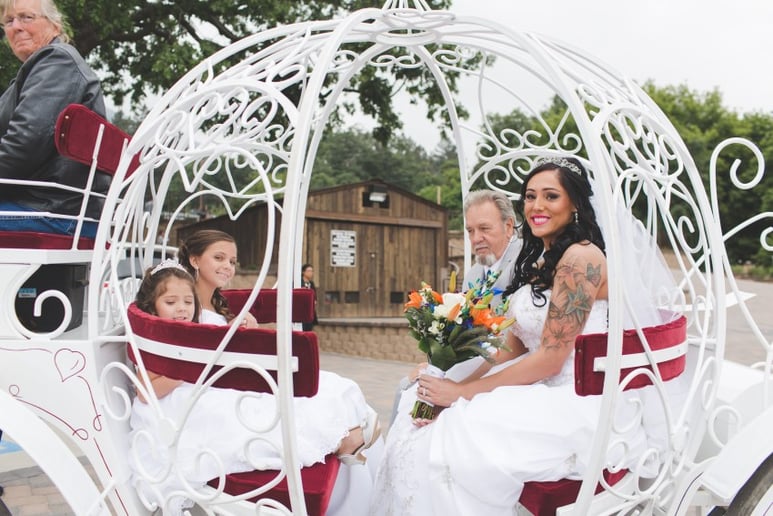 Gallery photo 7 of Dream Catchers Carriages