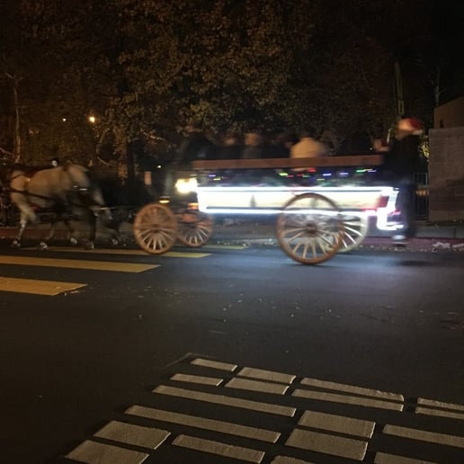Gallery photo 29 of Dream Catchers Carriages