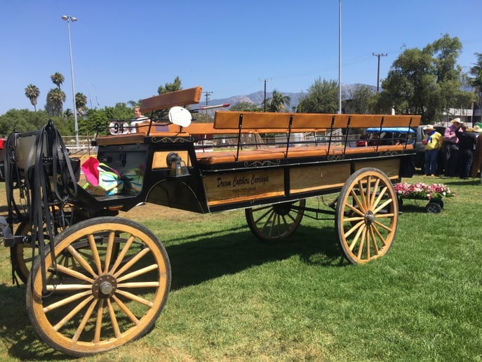 Gallery photo 17 of Dream Catchers Carriages