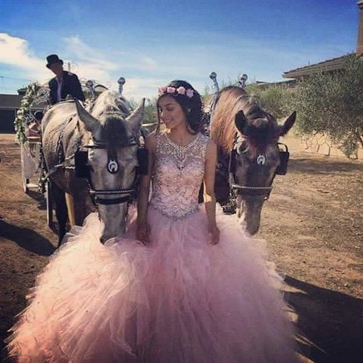Gallery photo 25 of Dream Catchers Carriages
