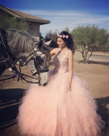Gallery photo 27 of Dream Catchers Carriages